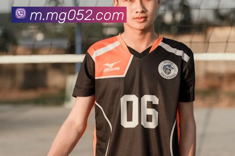 MG娱乐平台官网平台生态图